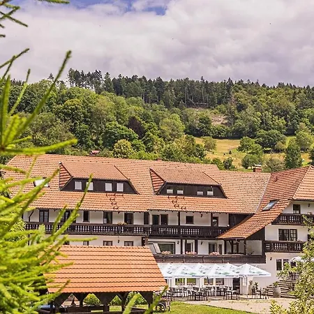 酒店 Boutique Wellnesshotel Landmann Steinen (Lorrach)