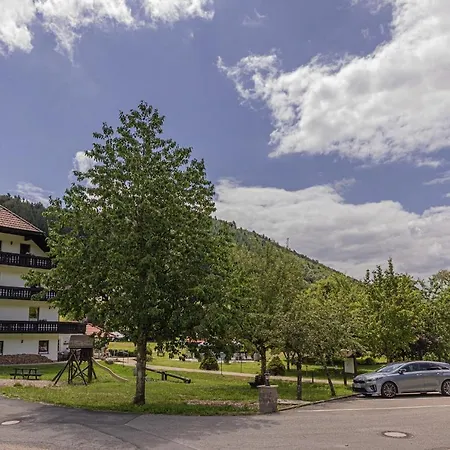 Boutique Wellnesshotel Landmann Steinen (Lorrach)