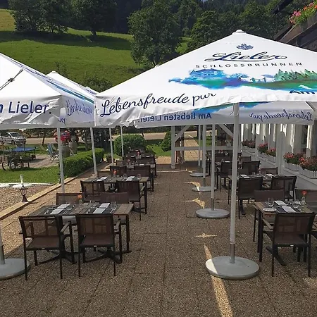 Boutique Wellnesshotel Landmann 3* Steinen (Lorrach)