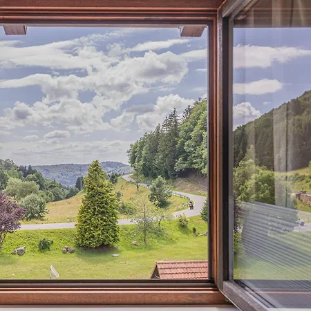 酒店 Boutique Wellnesshotel Landmann Steinen (Lorrach)