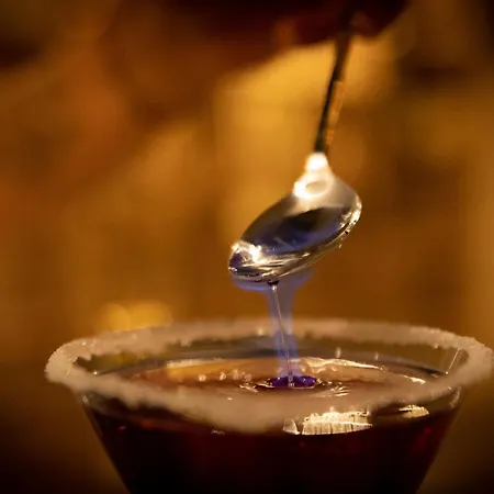 Boutique Wellnesshotel Landmann 3* Steinen (Lorrach)