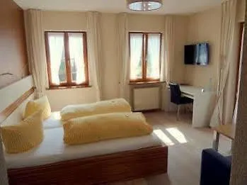 Boutique Wellnesshotel Landmann 酒店 3*