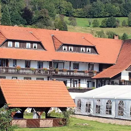 Wohlfühlhotel Landmann Hotel Steinen (Lorrach)